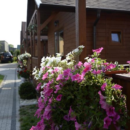 Domki Letniskowe U Doroty Władysławowo Exterior foto